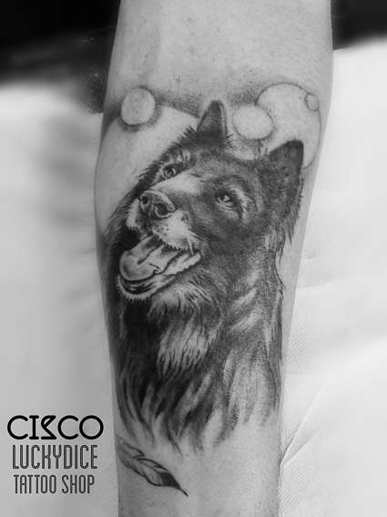 Tatouage chien berger allemand de Cisco Lucky Dice Tattoo